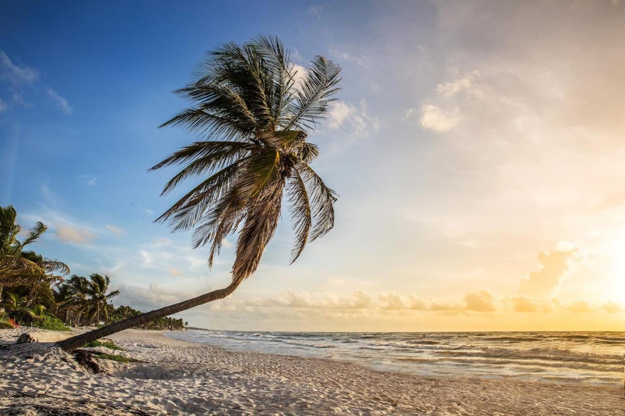 Hidden Treehouse Tulum Eco-Hotel מראה חיצוני תמונה
