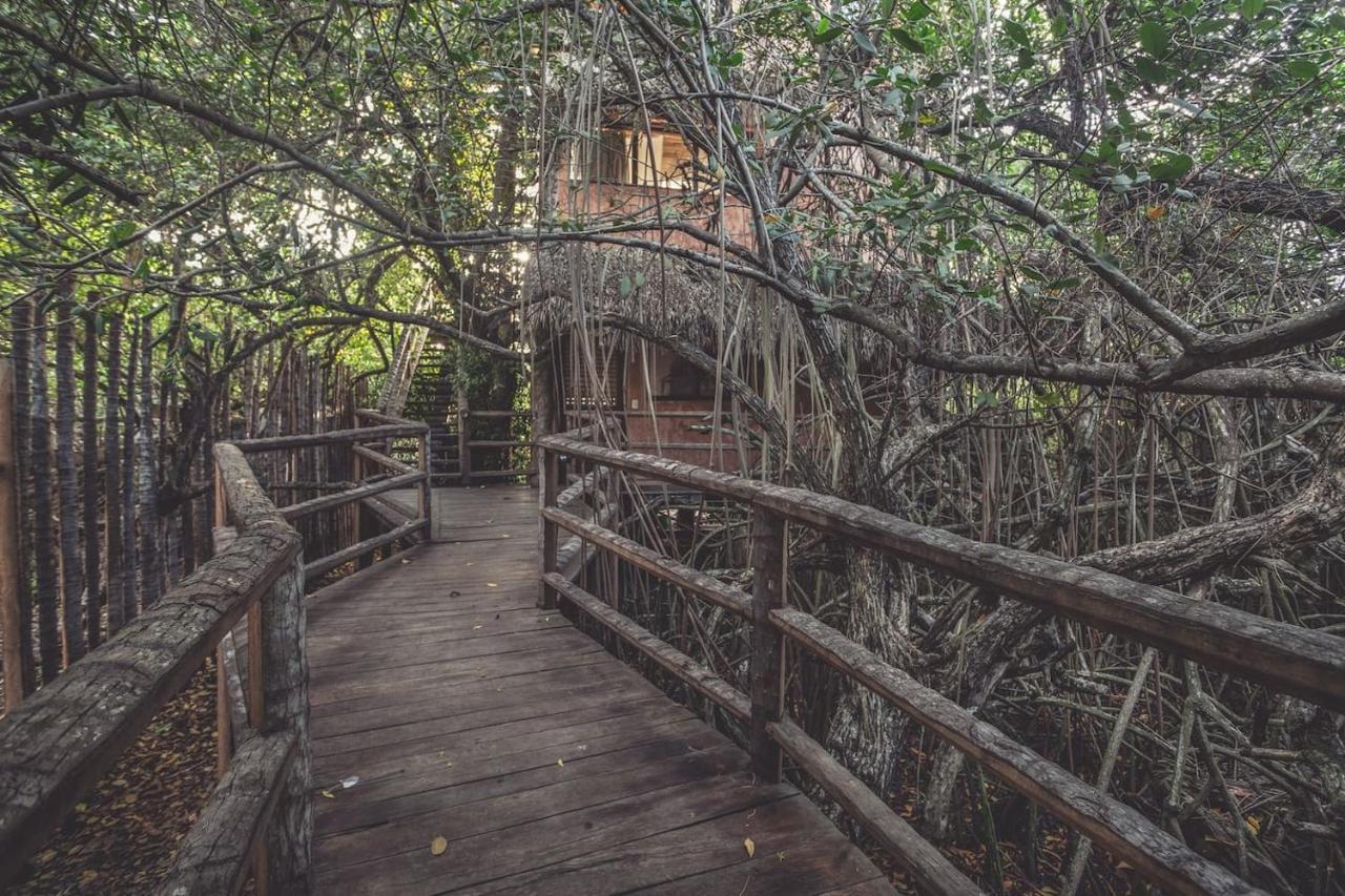 Hidden Treehouse Tulum Eco-Hotel מראה חיצוני תמונה
