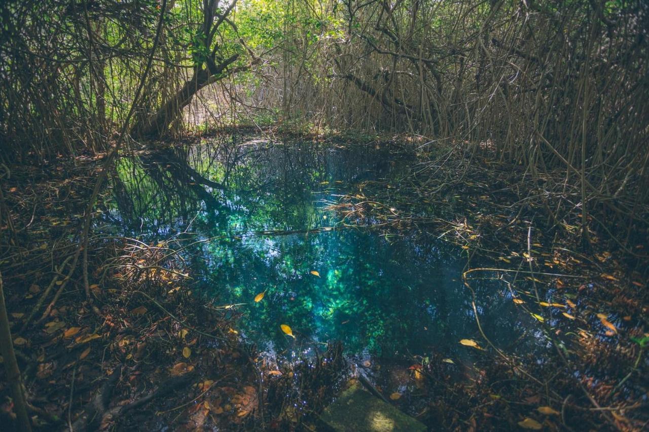 Hidden Treehouse Tulum Eco-Hotel מראה חיצוני תמונה